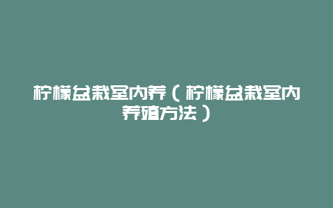 柠檬盆栽室内养（柠檬盆栽室内养殖方法）