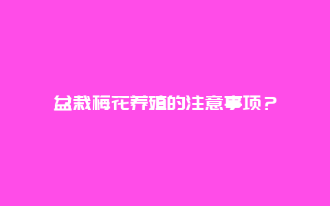 盆栽梅花养殖的注意事项？