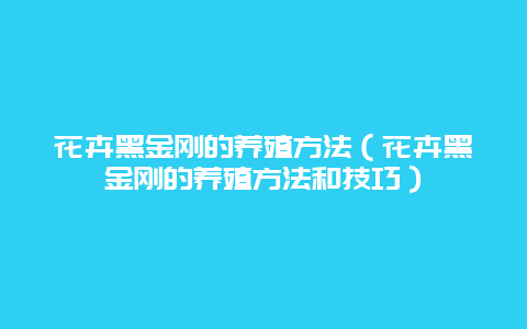 花卉黑金刚的养殖方法（花卉黑金刚的养殖方法和技巧）