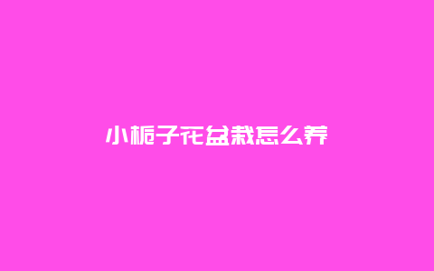 小栀子花盆栽怎么养