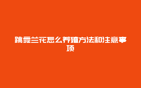 跳舞兰花怎么养殖方法和注意事项