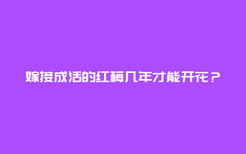 嫁接成活的红梅几年才能开花？