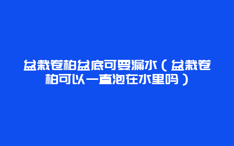 盆栽卷柏盆底可要漏水（盆栽卷柏可以一直泡在水里吗）