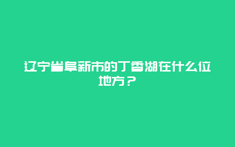 辽宁省阜新市的丁香湖在什么位地方？