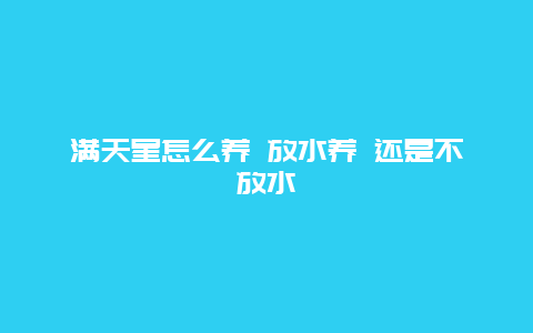 满天星怎么养 放水养 还是不放水