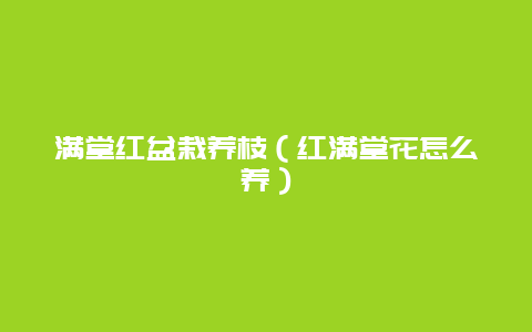 满堂红盆栽养枝（红满堂花怎么养）