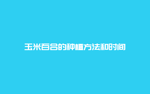 玉米百合的种植方法和时间