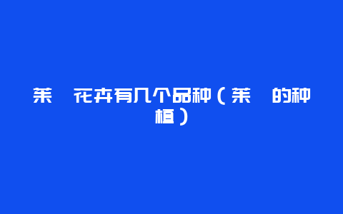 茱萸花卉有几个品种（茱萸的种植）