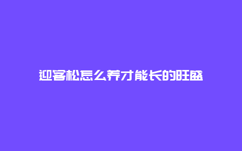 迎客松怎么养才能长的旺盛