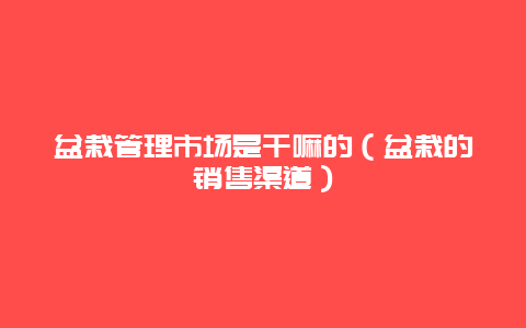 盆栽管理市场是干嘛的（盆栽的销售渠道）