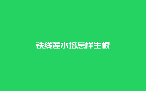 铁线莲水培怎样生根