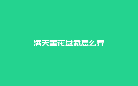 满天星花盆栽怎么养