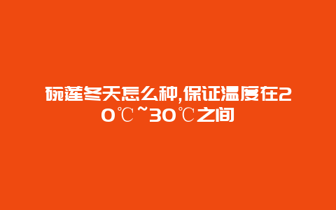 碗莲冬天怎么种,保证温度在20℃~30℃之间