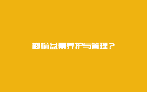 榔榆盆景养护与管理？