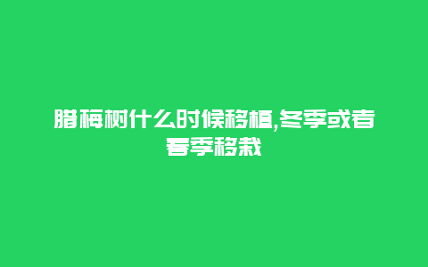 腊梅树什么时候移植,冬季或者春季移栽