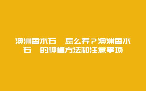 澳洲香水石斛怎么养？澳洲香水石斛的种植方法和注意事项