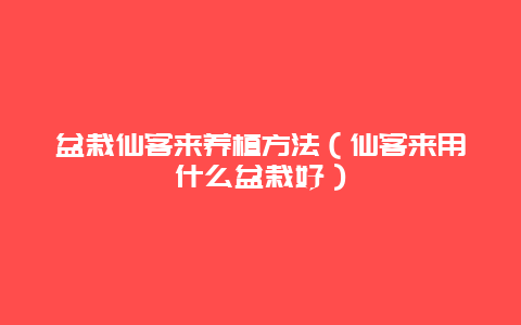 盆栽仙客来养植方法（仙客来用什么盆栽好）