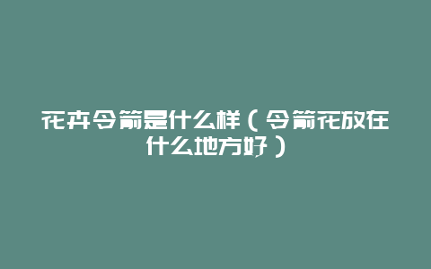 花卉令箭是什么样（令箭花放在什么地方好）