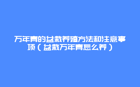 万年青的盆栽养殖方法和注意事项（盆栽万年青怎么养）