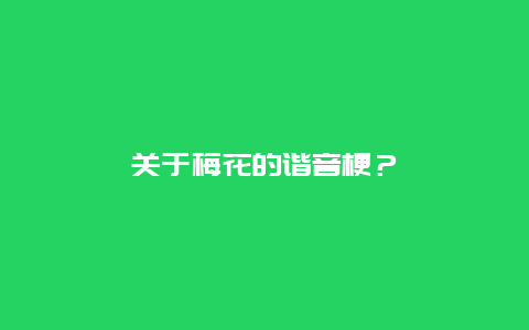 关于梅花的谐音梗？