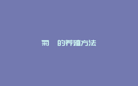 菊苣的养殖方法