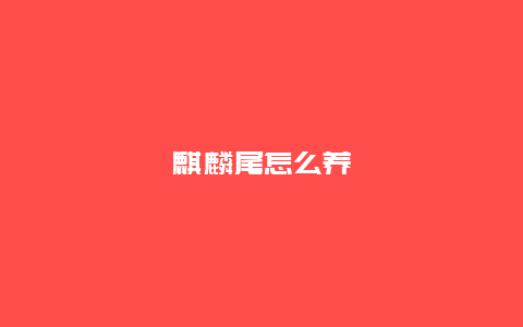 麒麟尾怎么养