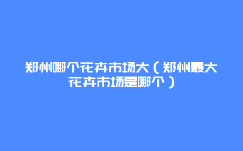 郑州哪个花卉市场大（郑州最大花卉市场是哪个）