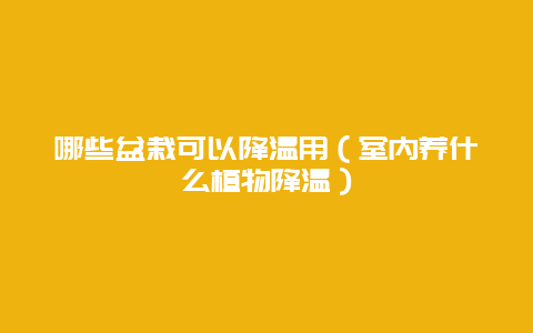 哪些盆栽可以降温用（室内养什么植物降温）