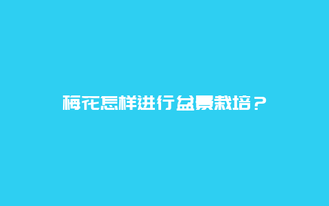 梅花怎样进行盆景栽培？