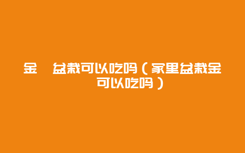 金桔盆栽可以吃吗（家里盆栽金桔可以吃吗）