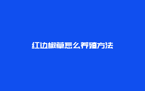 红边椒草怎么养殖方法