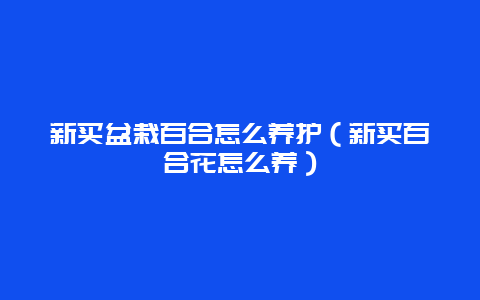 新买盆栽百合怎么养护（新买百合花怎么养）