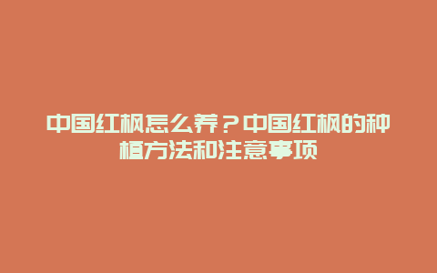 中国红枫怎么养？中国红枫的种植方法和注意事项