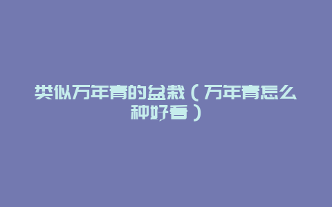 类似万年青的盆栽（万年青怎么种好看）