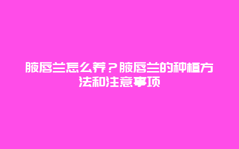 腋唇兰怎么养？腋唇兰的种植方法和注意事项