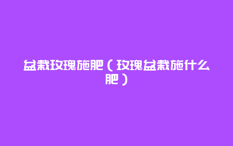 盆栽玫瑰施肥（玫瑰盆栽施什么肥）