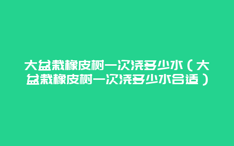 大盆栽橡皮树一次浇多少水（大盆栽橡皮树一次浇多少水合适）