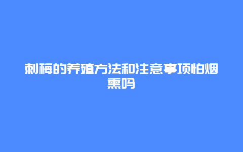 刺梅的养殖方法和注意事项怕烟熏吗