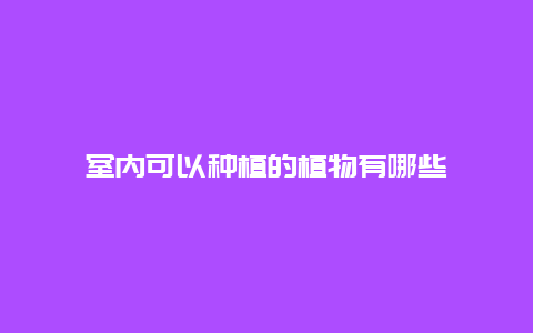 室内可以种植的植物有哪些