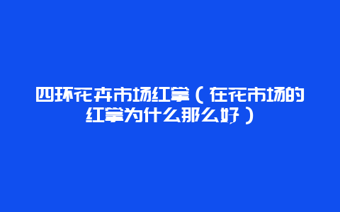 四环花卉市场红掌（在花市场的红掌为什么那么好）