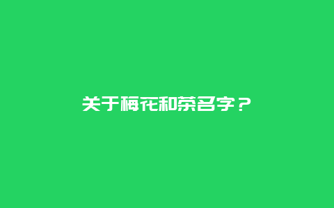 关于梅花和茶名字？