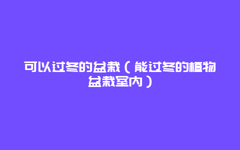 可以过冬的盆栽（能过冬的植物盆栽室内）