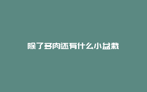 除了多肉还有什么小盆栽