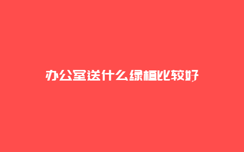 办公室送什么绿植比较好