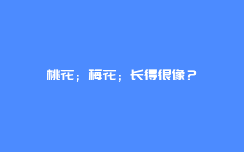 桃花；梅花；长得很像？