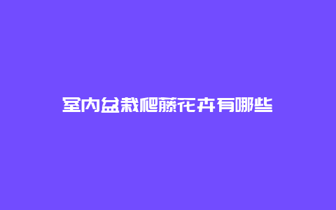 室内盆栽爬藤花卉有哪些