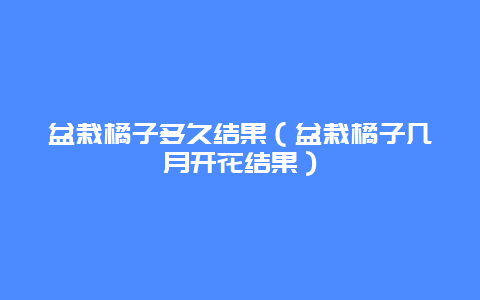 盆栽橘子多久结果（盆栽橘子几月开花结果）