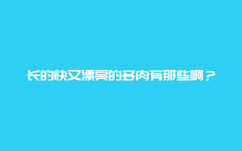 长的快又漂亮的多肉有那些啊？