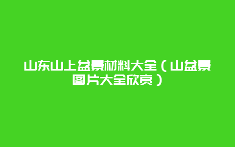 山东山上盆景材料大全（山盆景图片大全欣赏）