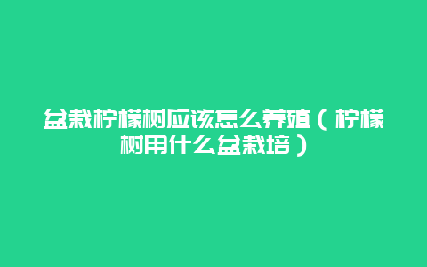 盆栽柠檬树应该怎么养殖（柠檬树用什么盆栽培）